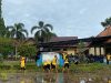 Siswi SMPN 1 Sungai Pinang Diajarkan Cara Memanen Padi