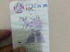 lapor bapak kapolri judi togel berlogo kuda lari kabupaten kendal di duga milik oknum anggota polri aktif seakan kebal hukum