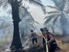Petugas Gabungan Polres Ogan Ilir Berhasil Padamkan Kebakaran Lahan Gambut di Desa Parit