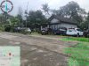 Maraknya perjudian sabung ayam didesa Sampetan ,kabupaten BOYOLALI,Diduga aparat setempat tutup mata dan terkesan dibiarkan