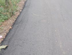 IMG-20250813-WA0026