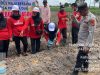 Polsek Pemulutan Dukung Program Ketahanan Pangan dengan Penanaman Jagung di Desa Muara Dua Polsek Pemulutan Dukung Program Ketahanan Pangan dengan Penanaman Jagung di Desa Muara Dua