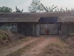 IMG-20250829-WA0014