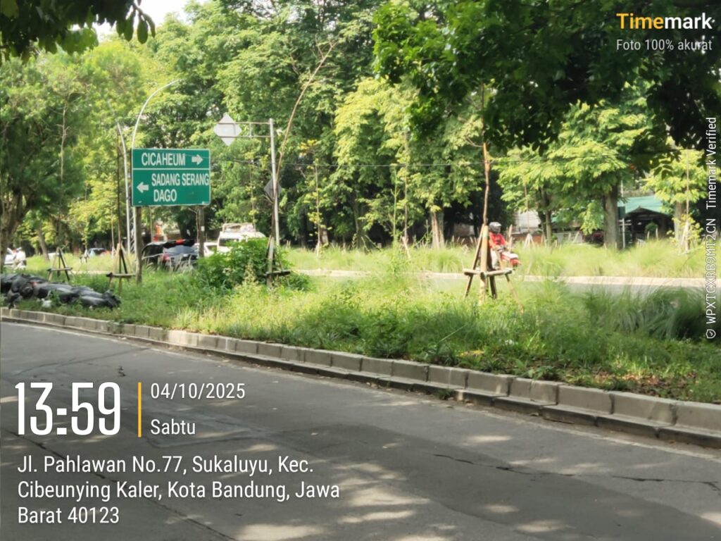 IMG-20251021-WA0011